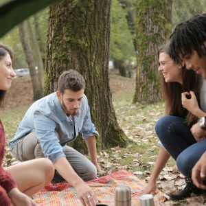 men-and-women-having-a-picnic-3777707